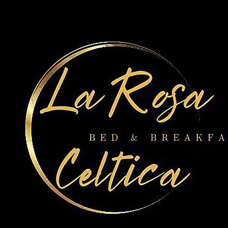 B&B La Rosa Celtica Capo di Ponte Luaran gambar